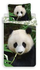 Jerry Fabrics  Povlečení fototisk Panda 02 140x200, 70x90 cm