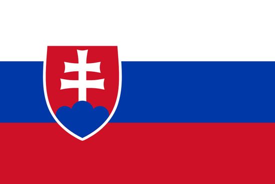 Vlajky.EU Slovensko vlajka - 30 x 45 cm - tunel