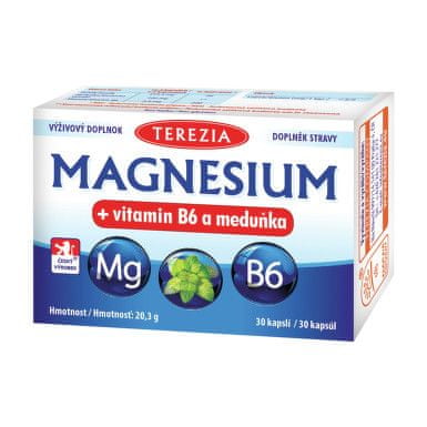 TEREZIA COMPANY TEREZIA Magnesium+vitamin B6 a meduňka cps.30