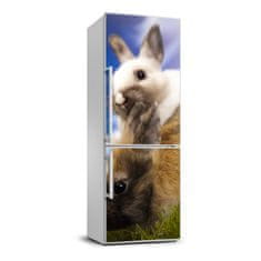 Foto tapeta na ledničku Dva králíci 60x180 cm