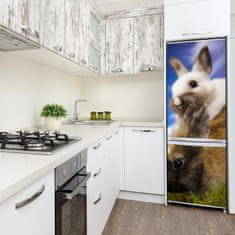 Foto tapeta na ledničku Dva králíci 60x180 cm