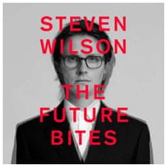 Wilson Steven: The Future Bites