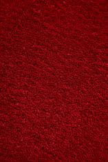 Flair Ručně všívaný kusový koberec Sierra Red 75x150