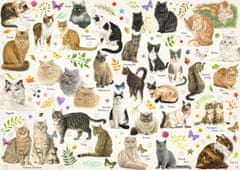 Jumbo  Puzzle Plakát: Kočičí plemena 1000 dílků