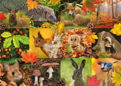 Jumbo  Puzzle Zvířata na podzim 1000 dílků