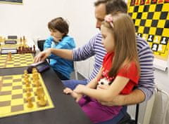 Allegria šachový kurz pro mírně pokročilé - videolekce