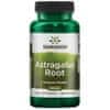 Astragalus Root (Kozinec), 470 mg 100 kapslí