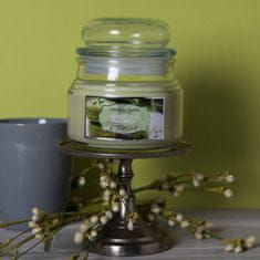 Colonial Candle Green Tea Macaron 255 g