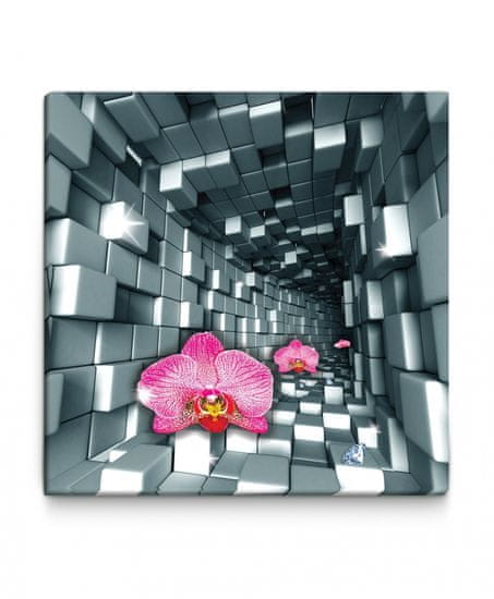 Dalenor 3D obraz Orchidej v tunelu, 80x80 cm