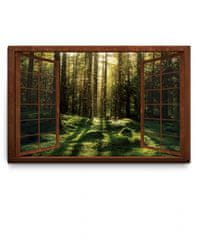 Dalenor 3D obraz Kouzelný mechový les, 90x60 cm