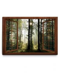Dalenor 3D obraz Okno v ranním lese, 90x60 cm