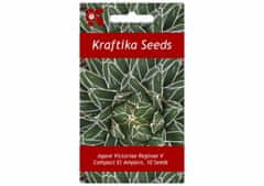 Kraftika Sukulent agave victoriae reginae v compact el amparo