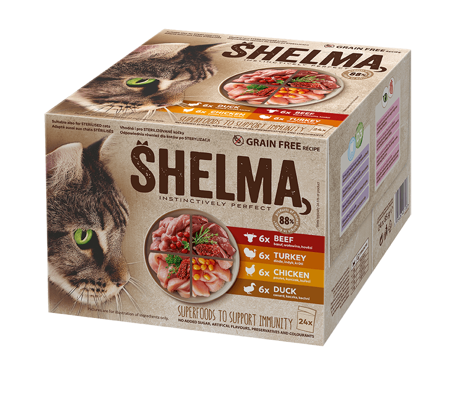 Levně SHELMA bezobilné dušené filetky masový výběr 24 x 85 g