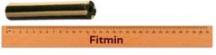 Fitmin For Life Dentální pochoutka s mátou pro psy 30 ks, vel. 13 cm