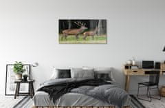 tulup.cz akrylový obraz jelen lesní 120x60 cm 4 Přívěsky