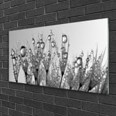 tulup.cz akrylový obraz Abstrakce Rostlina Příroda 120x60 cm 2 Přívěsky