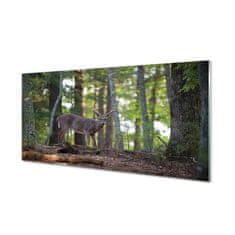 tulup.cz akrylový obraz jelen lesní 125x50 cm 4 Přívěsky