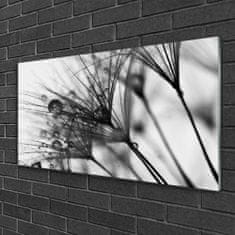 tulup.cz akrylový obraz Abstrakce Rostlina 100x50 cm 2 Přívěsky