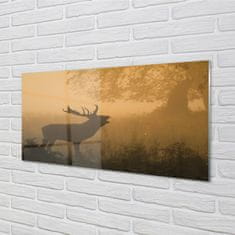 tulup.cz akrylový obraz jelen sunrise 100x50 cm 2 Přívěsky