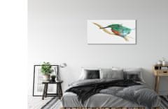 tulup.cz akrylový obraz Barevné malované papoušek 100x50 cm 2 Přívěsky