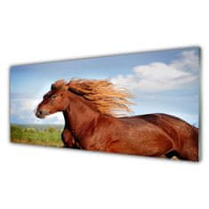 tulup.cz akrylový obraz Kůň Zvířata 125x50 cm 4 Přívěsky