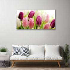 tulup.cz Obraz na plátně Tulipány Květiny Příroda Louka 100x50 cm