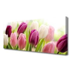 tulup.cz Obraz na plátně Tulipány Květiny Příroda Louka 100x50 cm