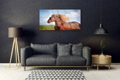 tulup.cz akrylový obraz Kůň Zvířata 120x60 cm 2 Přívěsky