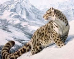 Gaira® Malování podle čísel Sněžný levhart M1061