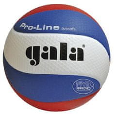 Míč volejbal PRO-LINE GALA profi 5591S