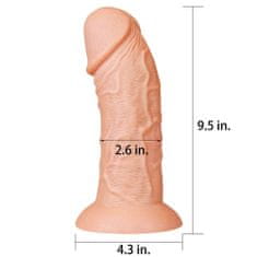 Lovetoy LoveToy Realistic Curved Dildo 9,5" (24 cm), realistické prohnuté dildo s přísavkou