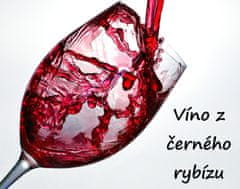 VINARIA Víno z černého rybízu, alk. 10%, BiB 5 litrů