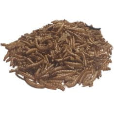 OGF 150 g mouční červi sušené ( larva potemníku moučného )sušený krmný hmyz pro ryby, koi kapři, ptáci, vodní želva, ježek, hmyzožravé exoty, krysy, pes i kočka, křeček, chameleon
