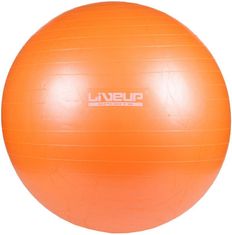 LiveUp Gymnastický míč Anti-burst 65 cm LiveUp