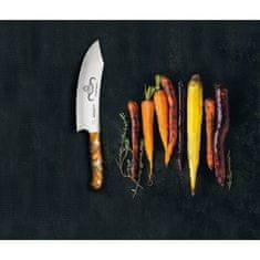 Giesser Messer Nůž barbecue Premiumcut 30 cm, Spicy Orange