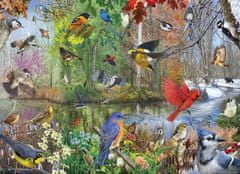 Cobble Hill  Puzzle Sezónní ptactvo 1000 dílků