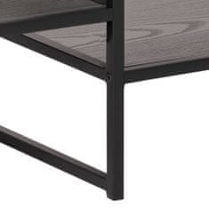 Design Scandinavia Televizní stolek Seaford, 120 cm, kov, černá