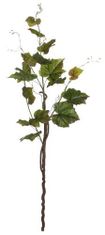 Shishi Větvička vinné révy, výška 135 cm