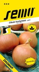 Semo Cibule jarní - Dagmar žlutá 2,5g