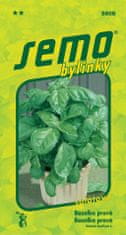 Semo Bazalka pravá - Lettuce Leaf (salátová) 1g