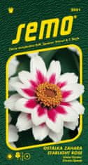 Semo Ostálka - Zahara Starlight Rose 15s
