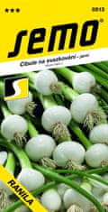 Semo Cibule jarní - Ranila bílá svazková 1,5g