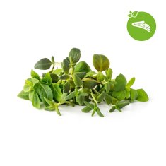 Click and Grow Mix Italských bylin, kapsle se semínky a substrátem 9 ks