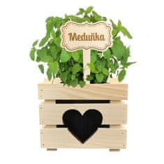 AMADEA Dřevěný zápich - cedulka na bylinky Meduňka, výška 20 cm, český výrobek