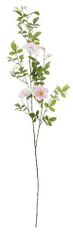 Shishi Růže šípková světle růžová, 125 cm