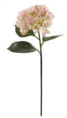 Shishi Hortenzie žluto-růžová, 70 cm