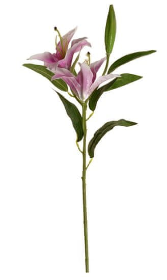 EverGreen Lilie x 2 s poup., výška 84 cm fialová