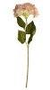 EverGreen Hortenzie, kv.18 cm, výška 75 cm světlá růžová
