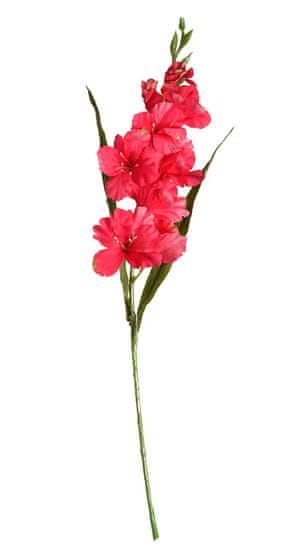 EverGreen Gladiola, výška 93 cm růžová
