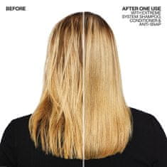 Redken Intenzivní bezoplachová kúra pro zcitlivělé a poškozené vlasy Extreme (Anti-Snap Anti-Breakage Leave (Objem 250 ml - nové balení)